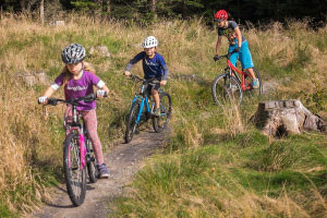 Flow trail - family cycling route in the field