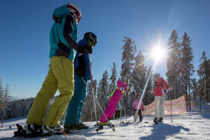 Winter in Lipno